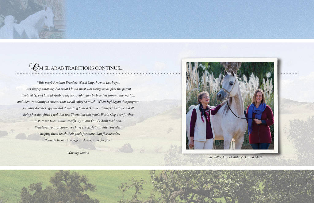 Om El Arab Open House