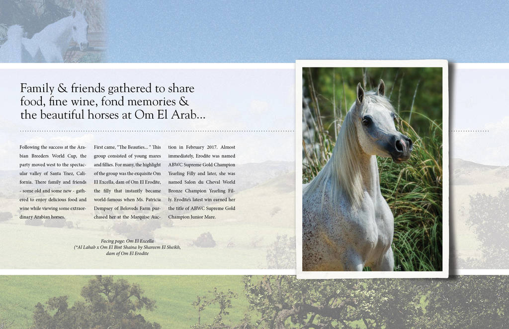 Om El Arab Open House