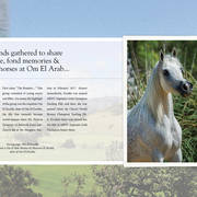 Om El Arab Open House