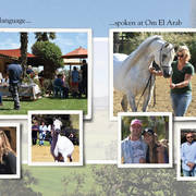 Om El Arab Open House