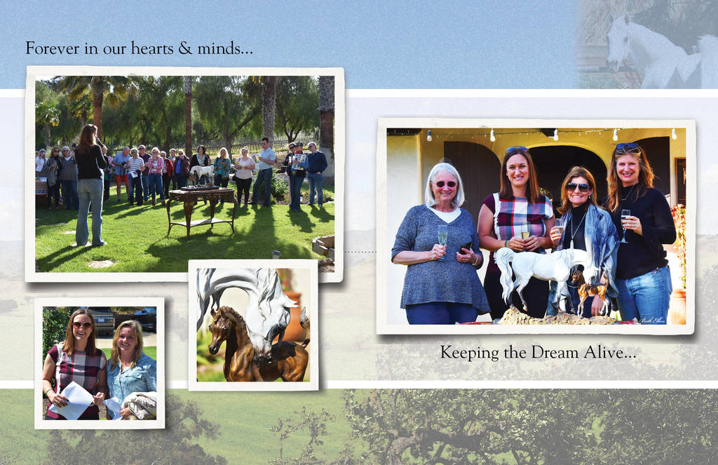 Om El Arab Open House