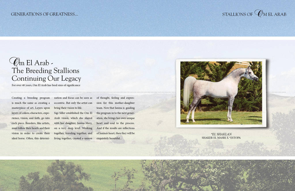 Om El Arab Open House