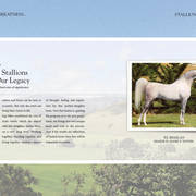 Om El Arab Open House