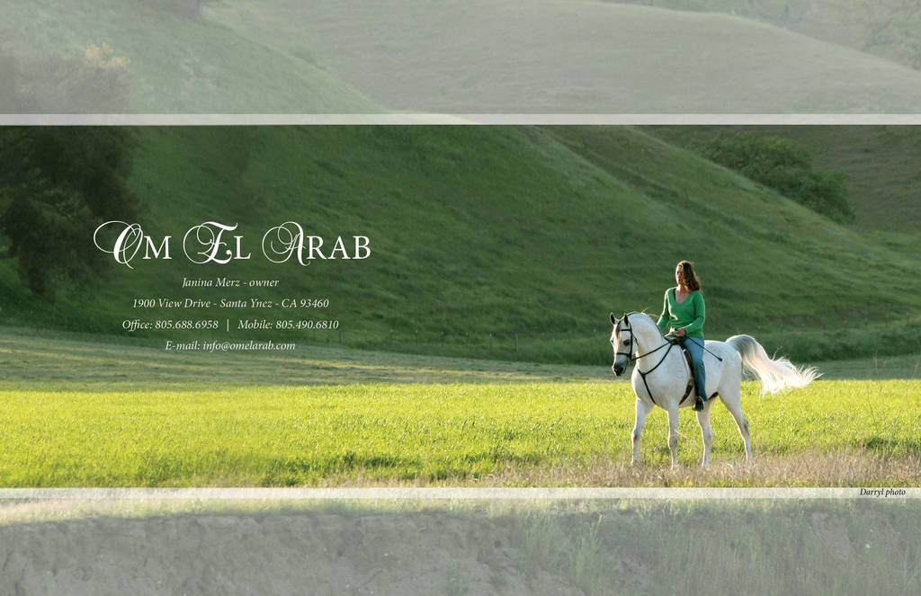 Om El Arab Open House