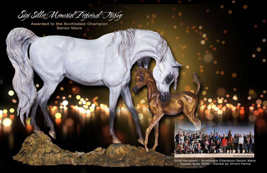 Love & Passion Shining Through, Carol Fensholt Nierenberg, Sculptor, Artist & Arabian Horse Breeder