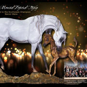 Love & Passion Shining Through, Carol Fensholt Nierenberg, Sculptor, Artist & Arabian Horse Breeder