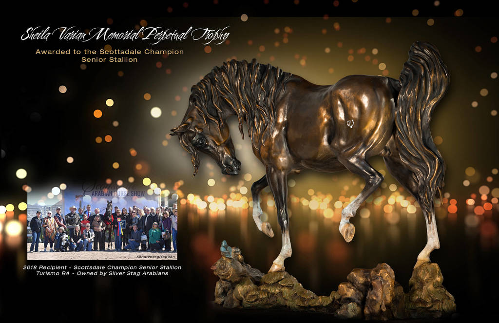 Love & Passion Shining Through, Carol Fensholt Nierenberg, Sculptor, Artist & Arabian Horse Breeder