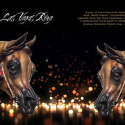 Love & Passion Shining Through, Carol Fensholt Nierenberg, Sculptor, Artist & Arabian Horse Breeder