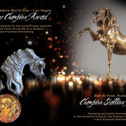 Love & Passion Shining Through, Carol Fensholt Nierenberg, Sculptor, Artist & Arabian Horse Breeder
