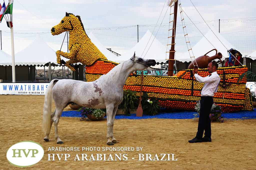 Photos Day One - Menton 2018