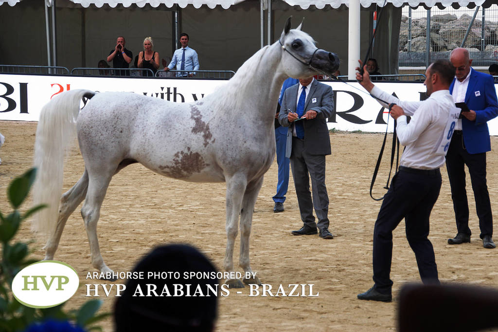 Photos Day One - Menton 2018