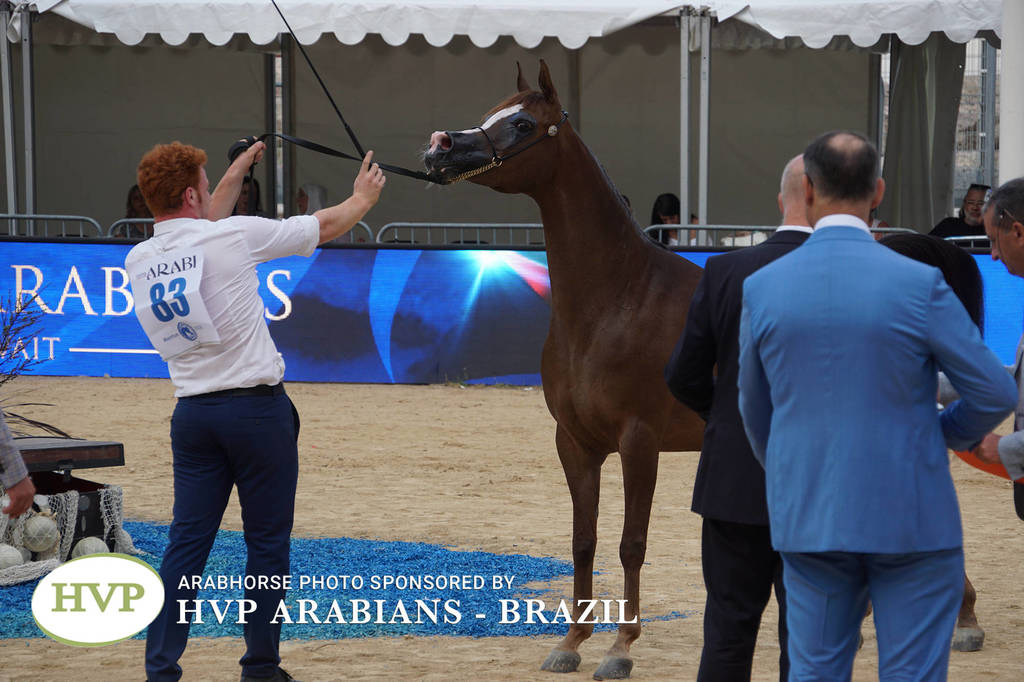 Photos Day One - Menton 2018