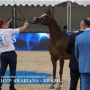 Photos Day One - Menton 2018