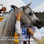Photos Day One - Menton 2018