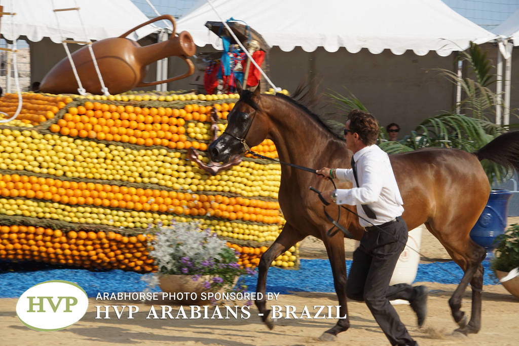 Photos Day One - Menton 2018