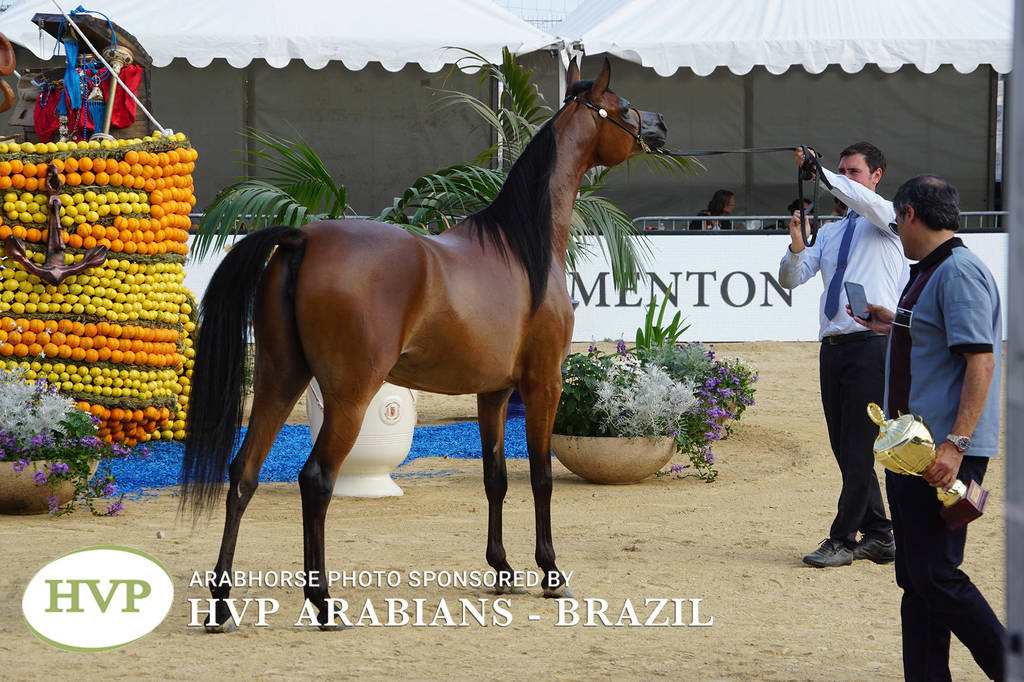 Photos Day One - Menton 2018