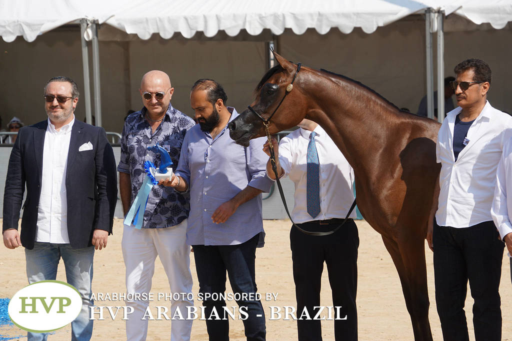 Photos Day One - Menton 2018