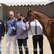 Photos Day One - Menton 2018