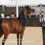 Photos Day One - Menton 2018