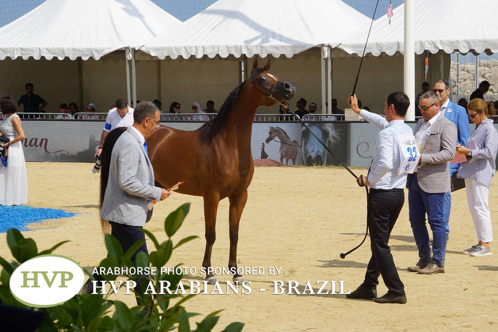 Photos Day One - Menton 2018