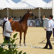 Photos Day One - Menton 2018