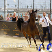 Photos Day One - Menton 2018