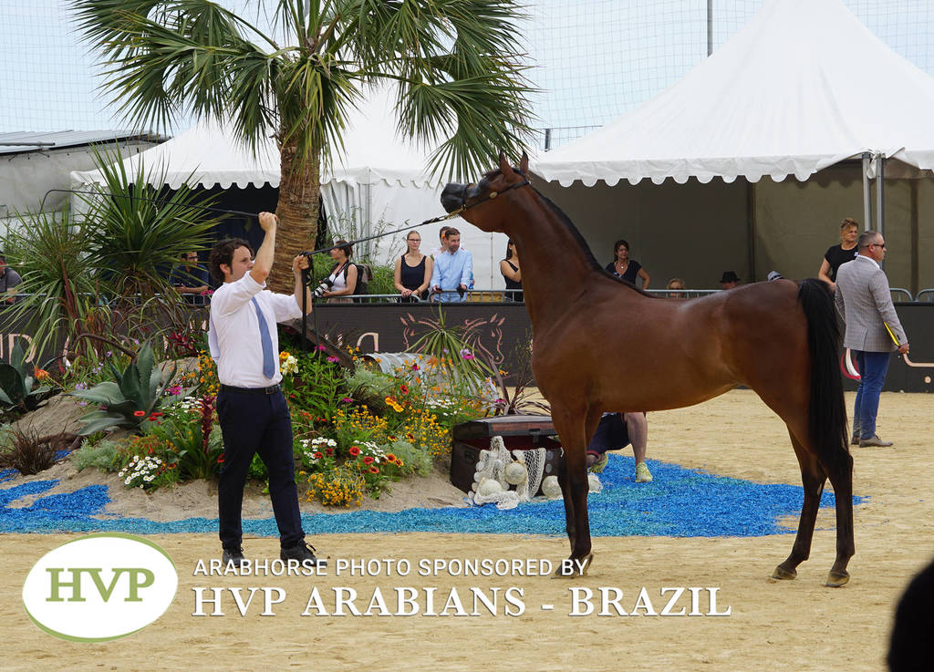 Photos Day One - Menton 2018