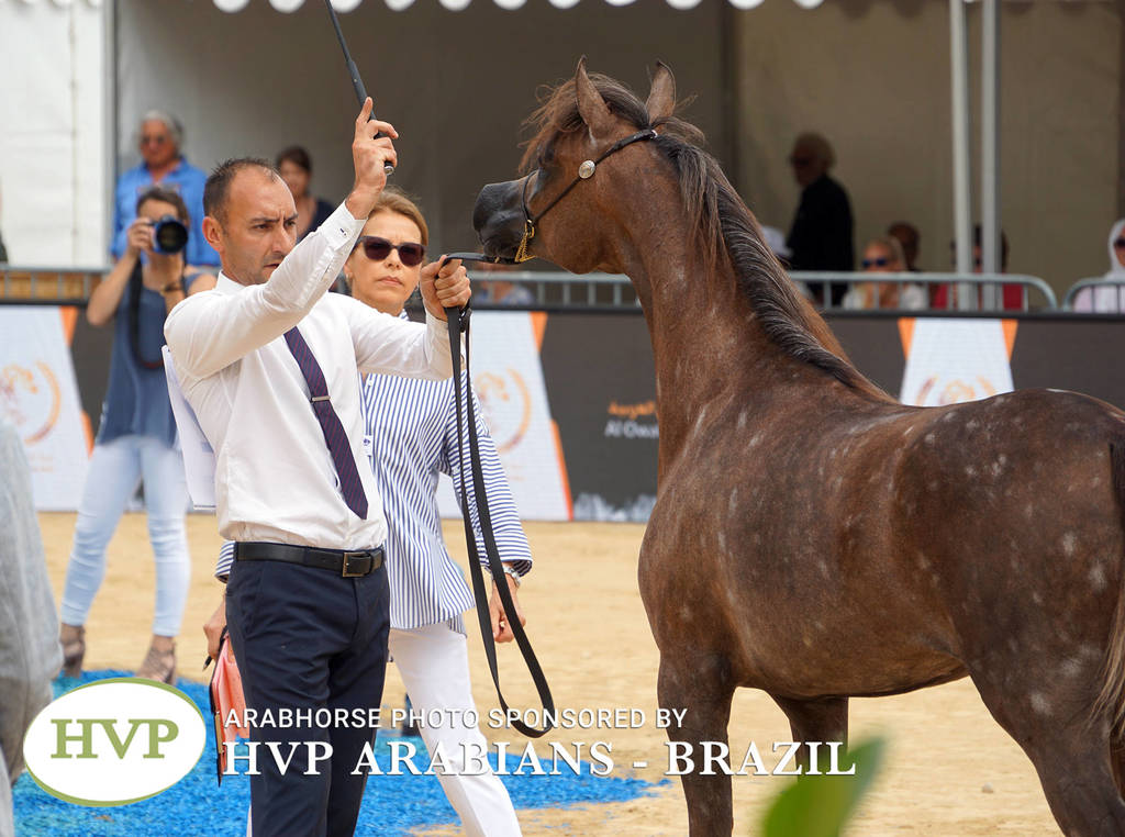 Photos Day One - Menton 2018