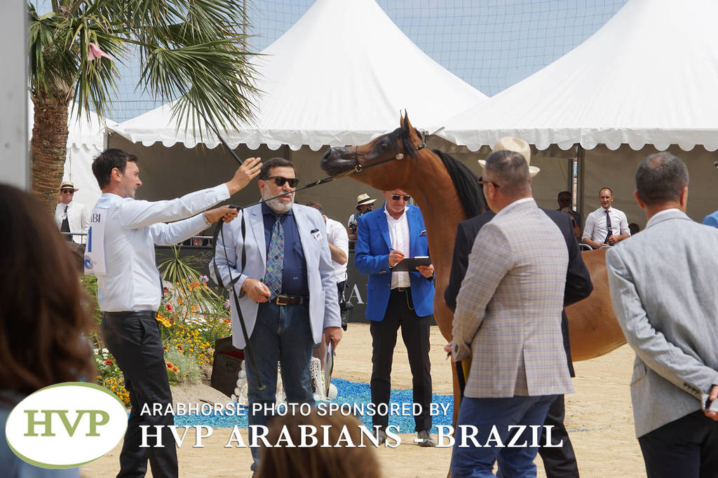 Photos Day One - Menton 2018