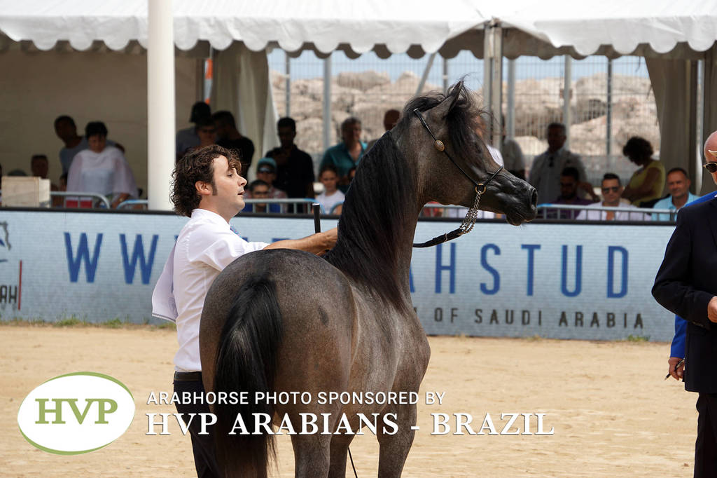 Photos Day One - Menton 2018