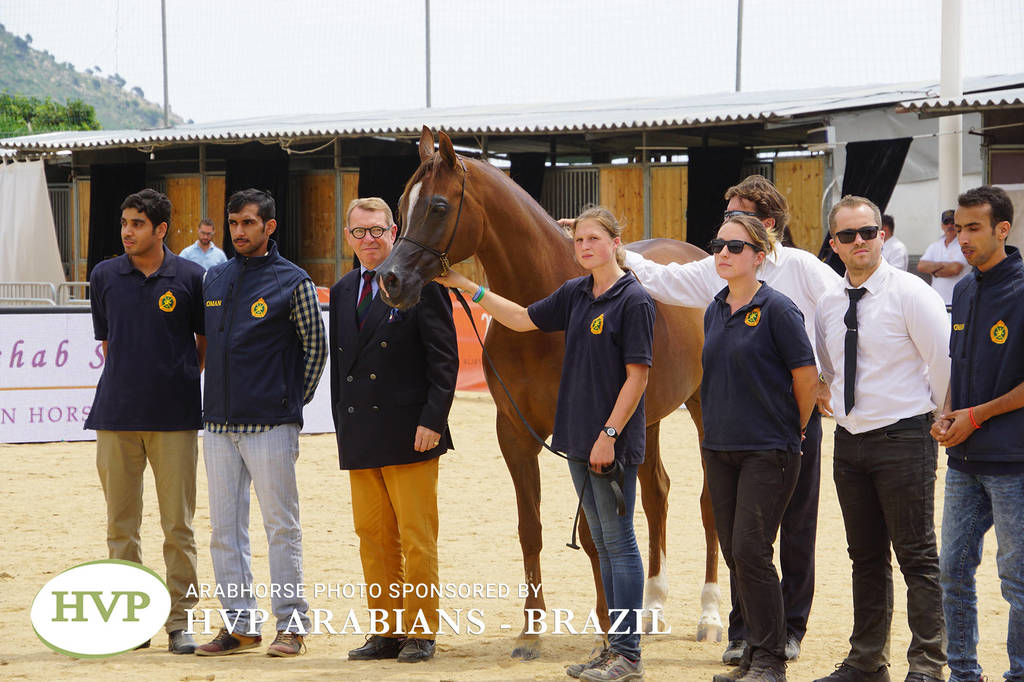 Photos Day Two Menton 2018 Colts and Stallions