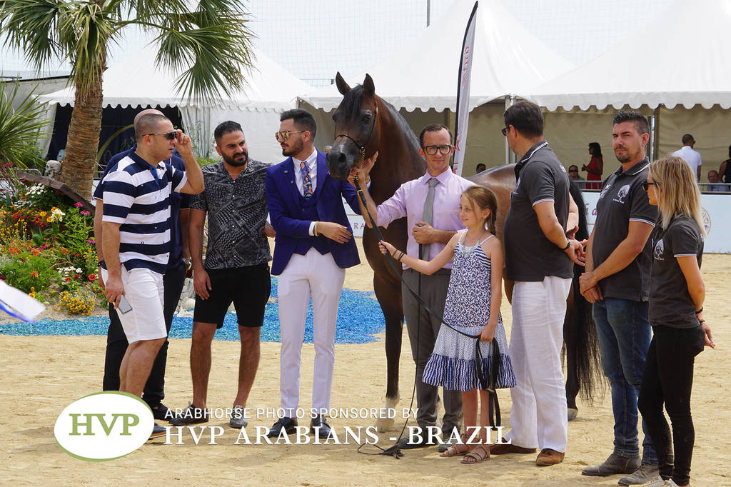 Photos Day Two Menton 2018 Colts and Stallions