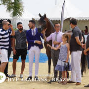 Photos Day Two Menton 2018 Colts and Stallions