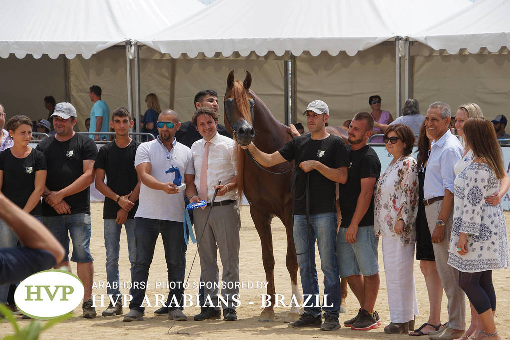 Photos Day Two Menton 2018 Colts and Stallions