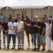 Photos Day Two Menton 2018 Colts and Stallions