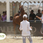 Photos Day Two Menton 2018 Colts and Stallions