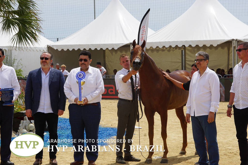 Photos Day Two Menton 2018 Colts and Stallions