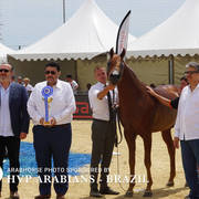 Photos Day Two Menton 2018 Colts and Stallions