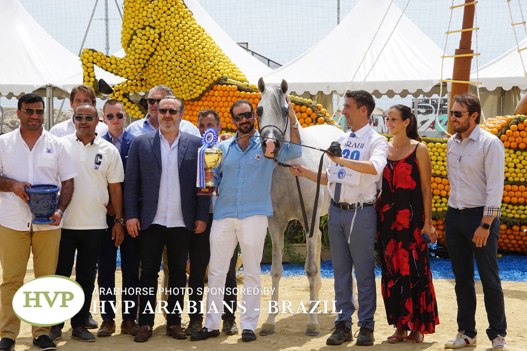 Photos Day Two Menton 2018 Colts and Stallions