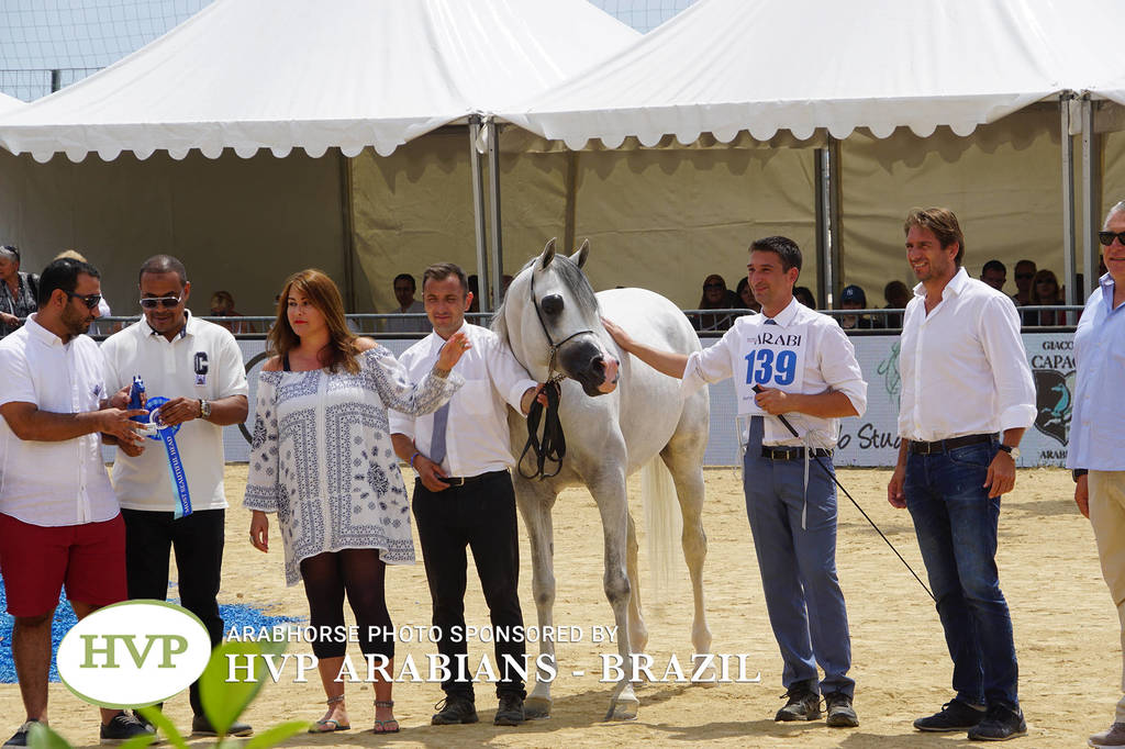 Photos Day Two Menton 2018 Colts and Stallions