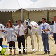 Photos Day Two Menton 2018 Colts and Stallions