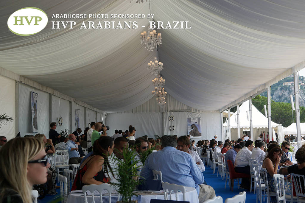 Photos Day Two Menton 2018 Colts and Stallions