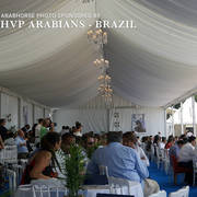 Photos Day Two Menton 2018 Colts and Stallions