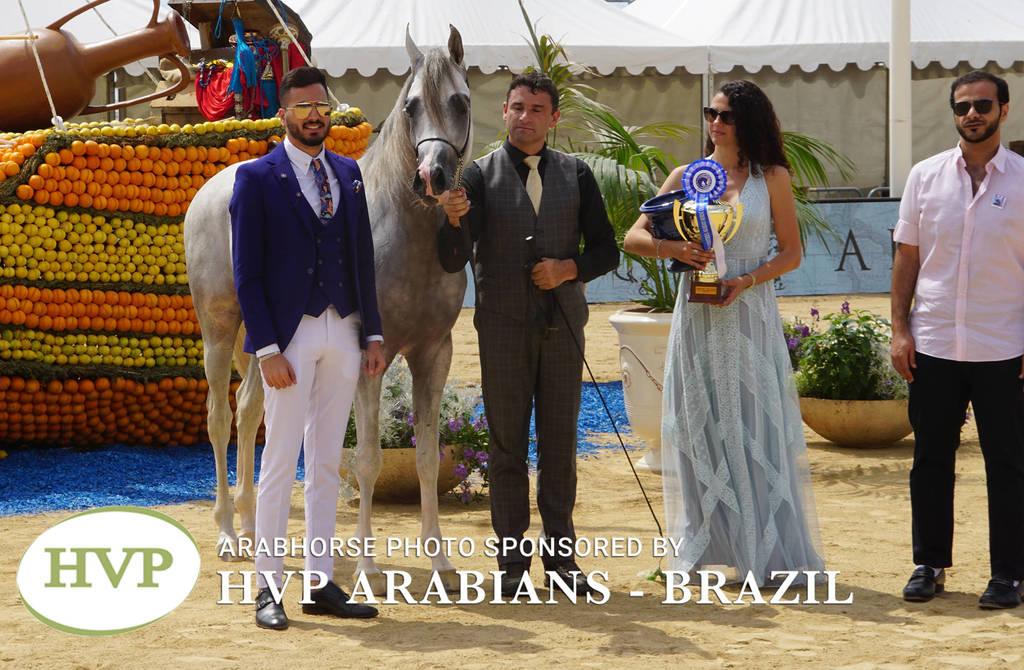 Photos Day Two Menton 2018 Colts and Stallions