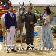 Photos Day Two Menton 2018 Colts and Stallions