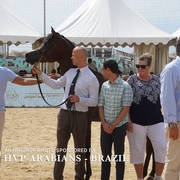 Photos Day Two Menton 2018 Colts and Stallions