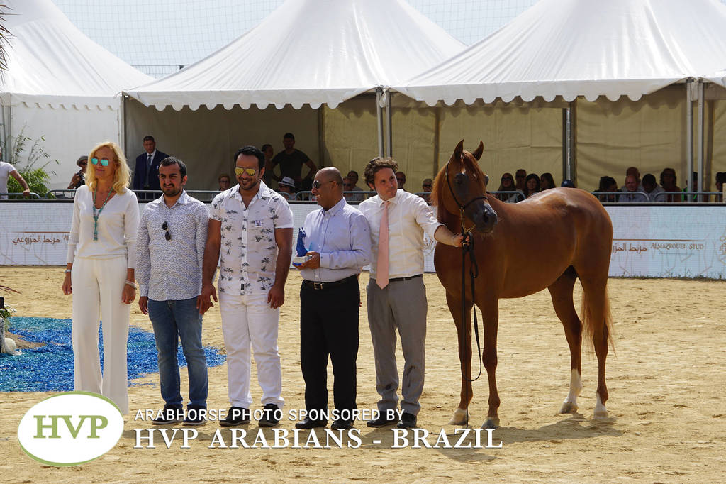 Photos Day Two Menton 2018 Colts and Stallions