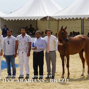 Photos Day Two Menton 2018 Colts and Stallions