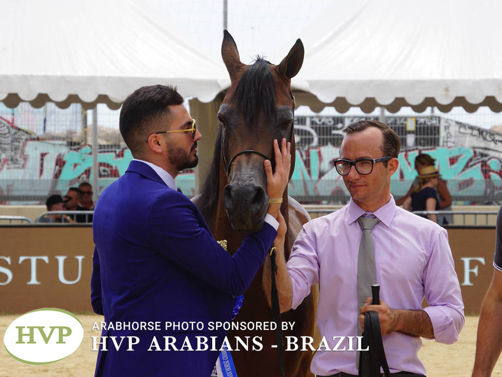 Photos Day Two Menton 2018 Colts and Stallions