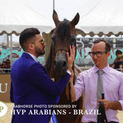 Photos Day Two Menton 2018 Colts and Stallions